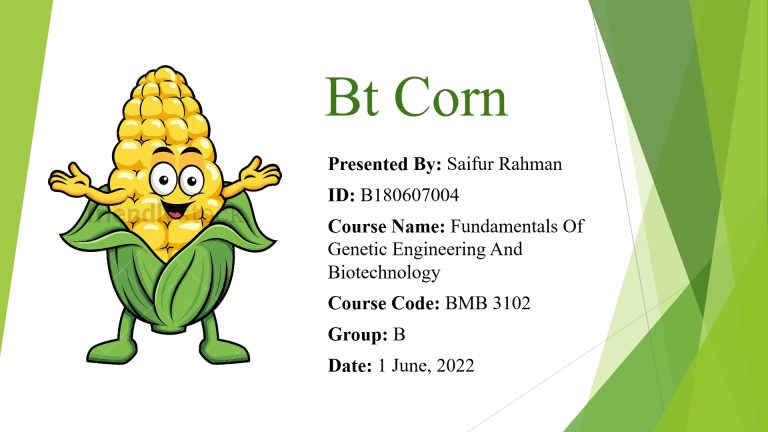 bt-corn-ppt-free-download-awesomebiochem