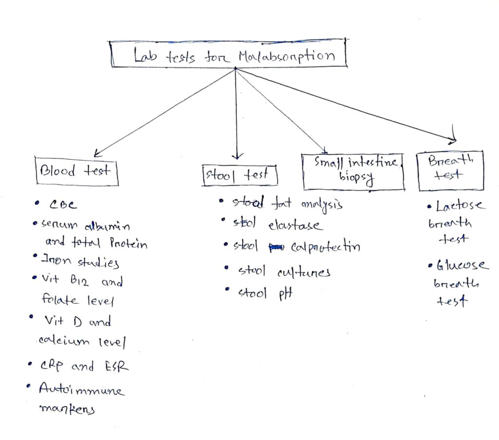 lab tests for malabsorption