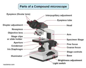 parts of a microscope